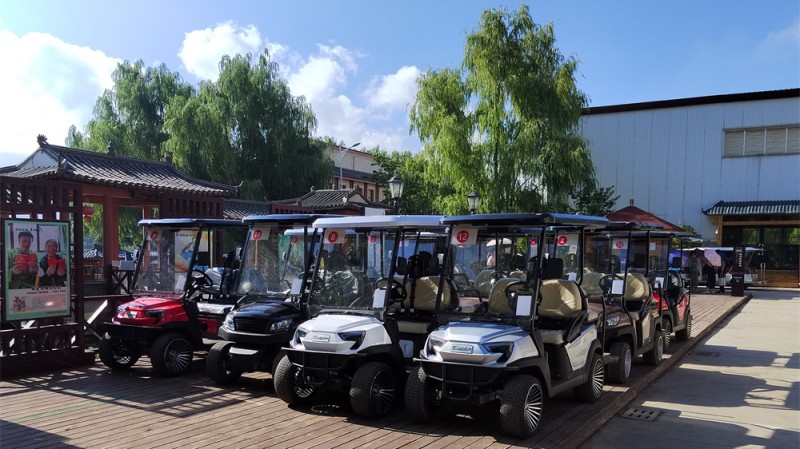 景區(qū)電動觀光車 景區(qū)電動觀光車
